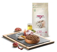 Bonacibo Adult Cat Tavuklu Kedi Maması ürün görseli