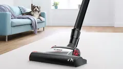Bosch BGC41PET Serie 6 ProAnimal Toz Torbasız Süpürge ürün görseli