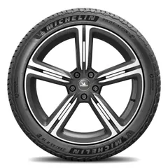 Michelin Pilot Alpin 5 ürün görseli