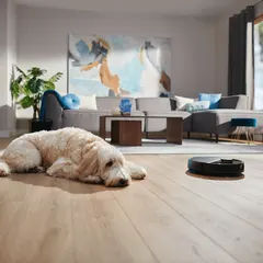 Philips HomeRun 3000 Serisi Aqua XU3100/01 ürün görseli