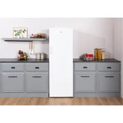 Regal CD 72922 Derin Dondurucu ürün görseli