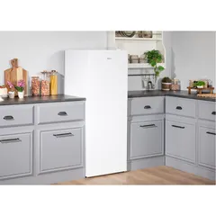 Regal CD NF 62221 Derin Dondurucu ürün görseli